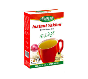 ALAMGEER INSTANT YAKHNI 25G