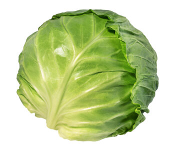 CABBAGE