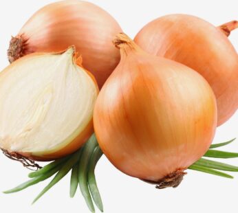 ONION LOOSE