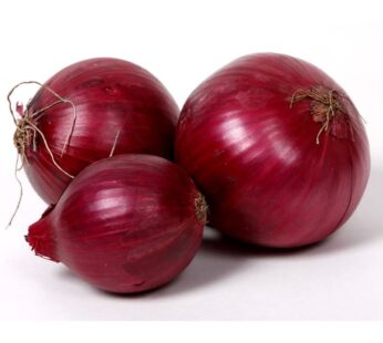 RED ONION