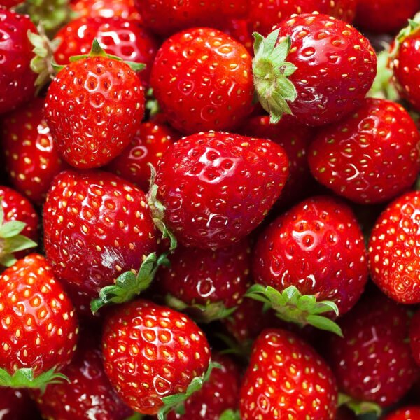STRAWBERRY PREPACK